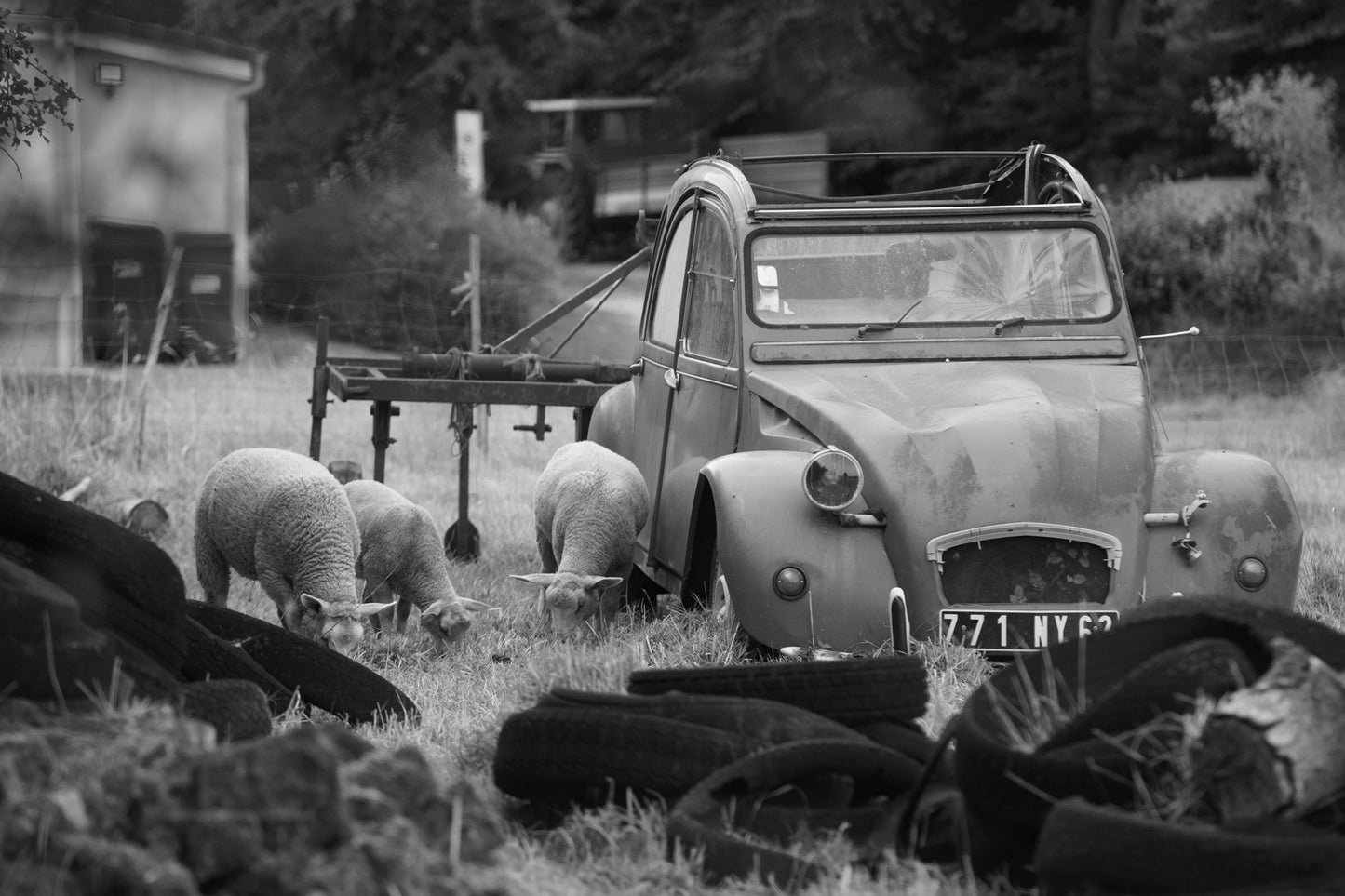 #28072200 - Fine art print